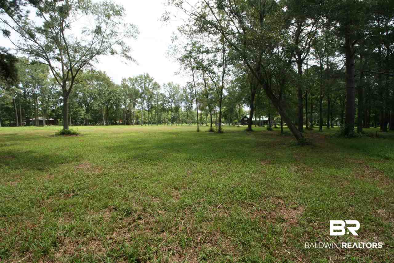 Douglas Road Grand Bay, AL 36541 - Photo 6 of 6