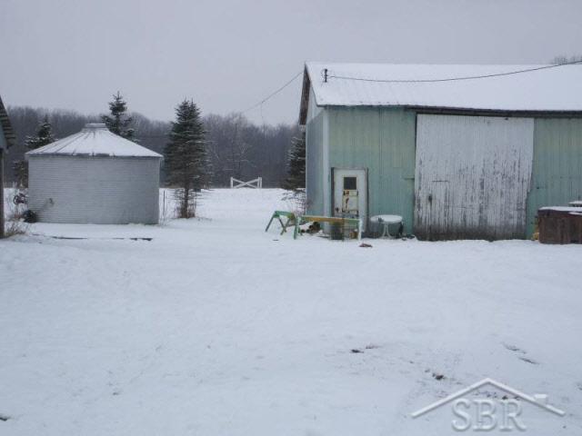9670 South Beyer Road Birch Run, MI 48415 - Photo 5 of 8 20033207-4.JPG