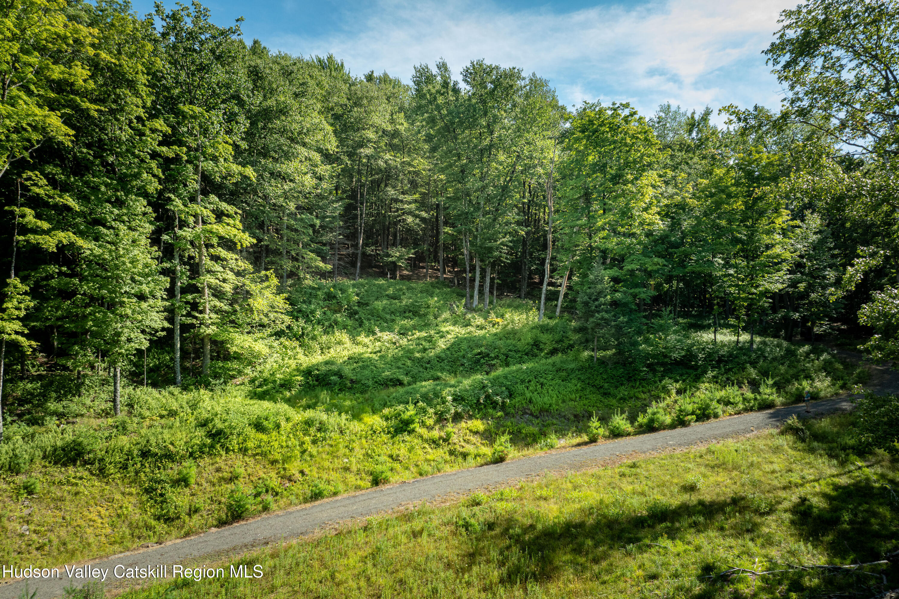 465 Sickler Road Willow, NY 12495 - Photo 16 of 24 Copy of 20260717_Sickler_021