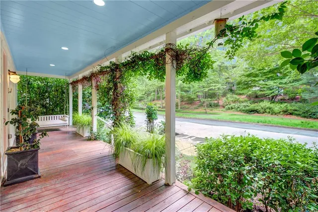a view of a garden with plants and large trees