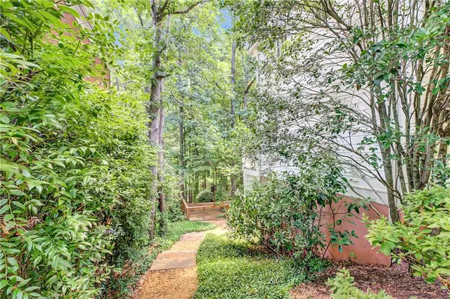 a view of a yard with plants