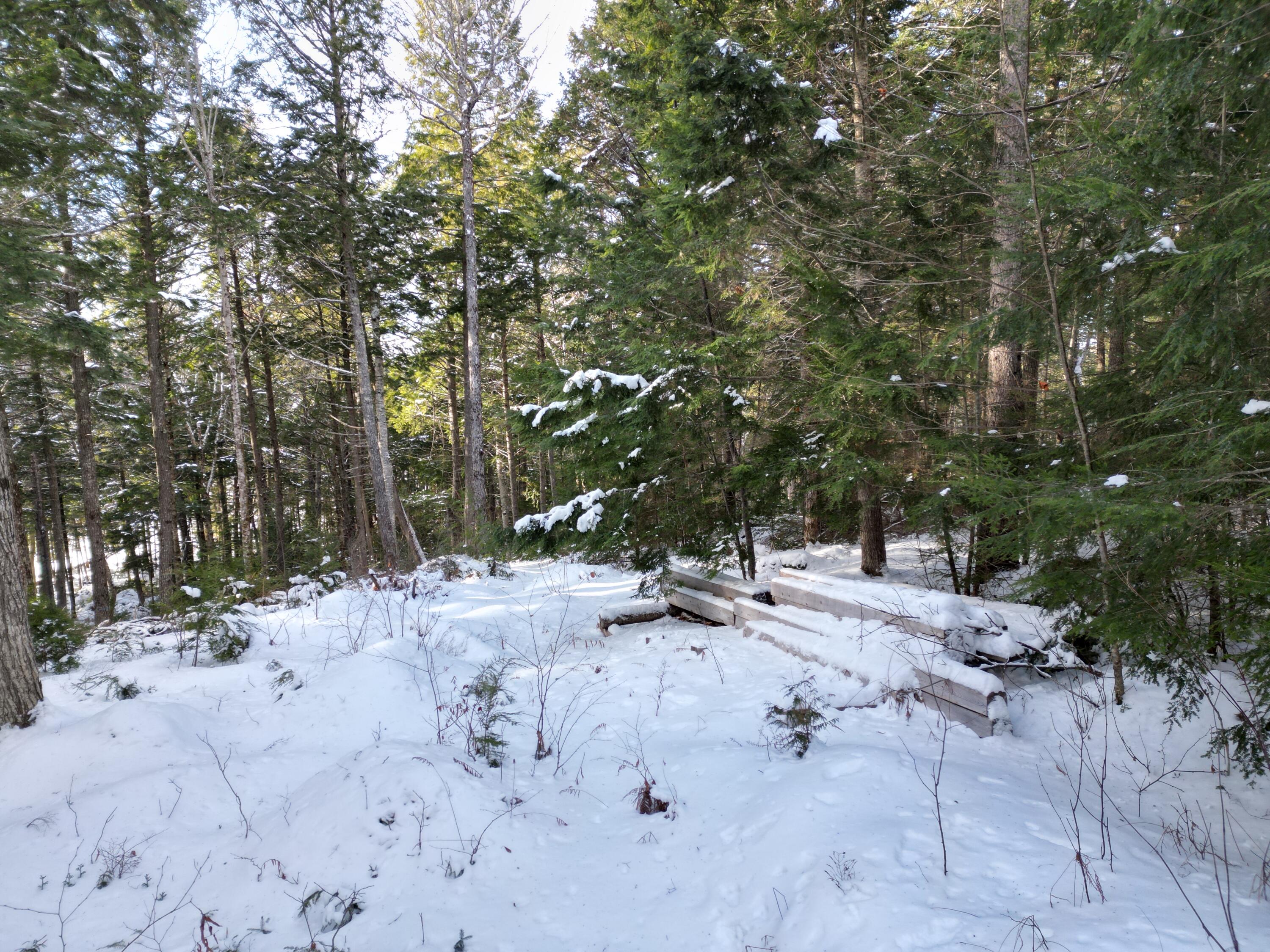16 Crooked Pond Road Lincoln, ME 04457 - Photo 9 of 24 DJI_0961