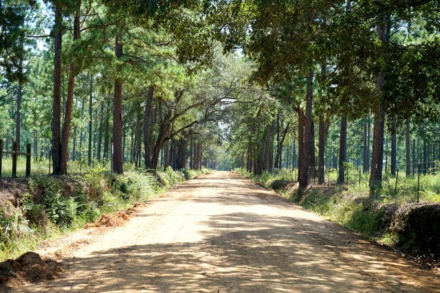 0 Mercy Seat Road Thomasville, GA 31792 - Photo 1 of 1 Main View
