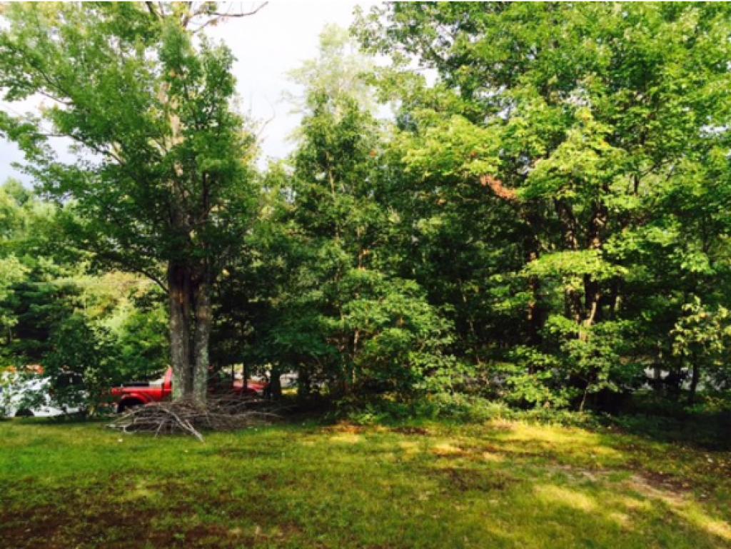 81 Auburn Road Londonderry, NH 03053 - Photo 23 of 35 Gallery Image 23