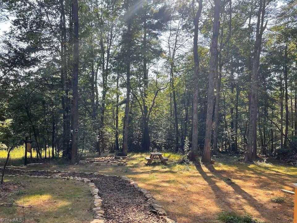 1005 Brewer Mill Road Traphill, NC 28685 - Photo 19 of 23