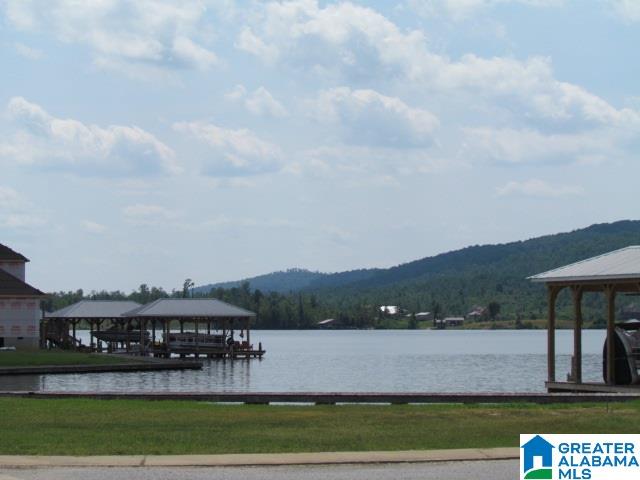 51 Willow Point Drive Ohatchee, AL 36271 - Photo 32 of 32