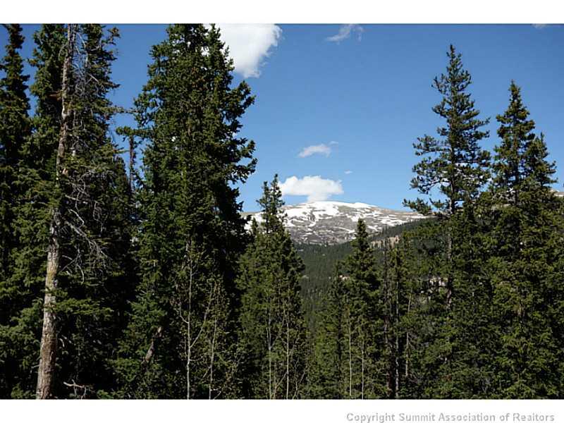 1346 Quartzville Road Alma, CO 80420 - Photo 1 of 5 Gallery Image 1