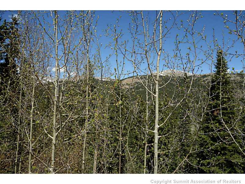 1346 Quartzville Road Alma, CO 80420 - Photo 2 of 5 Gallery Image 2