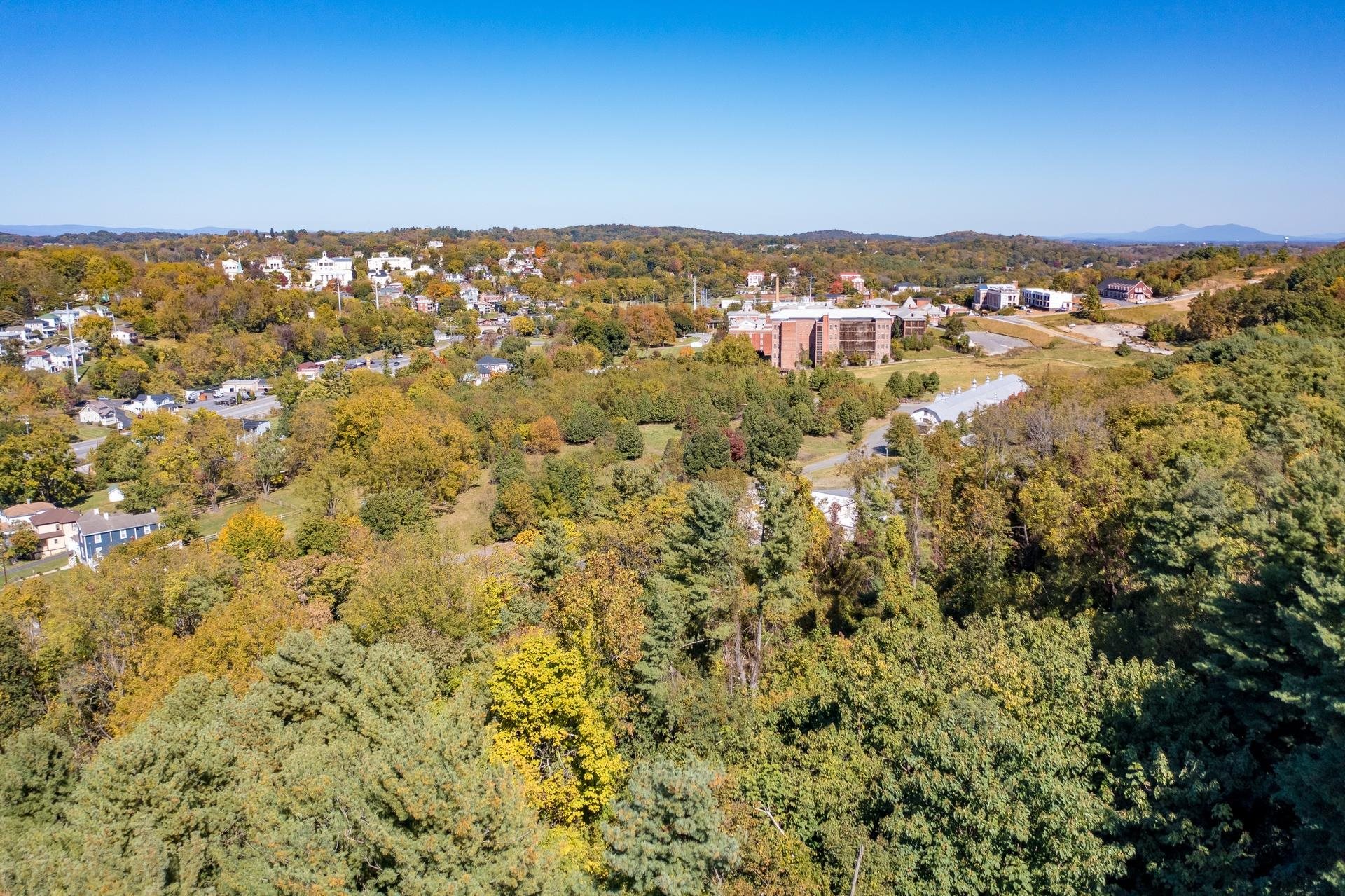 603 Calvert Street Staunton, VA 24401 - Photo 7 of 9 view of city and mountain