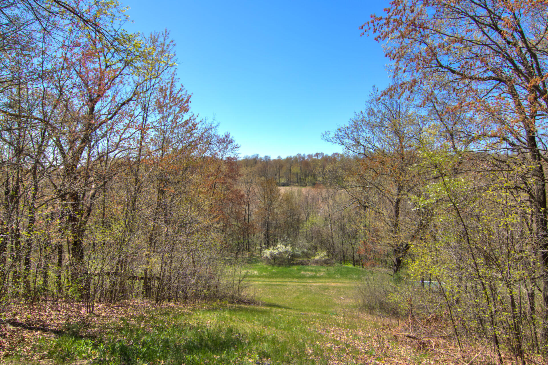 W10753 Hannon Road Black River Falls, WI 54615 - Photo 99 of 103 56