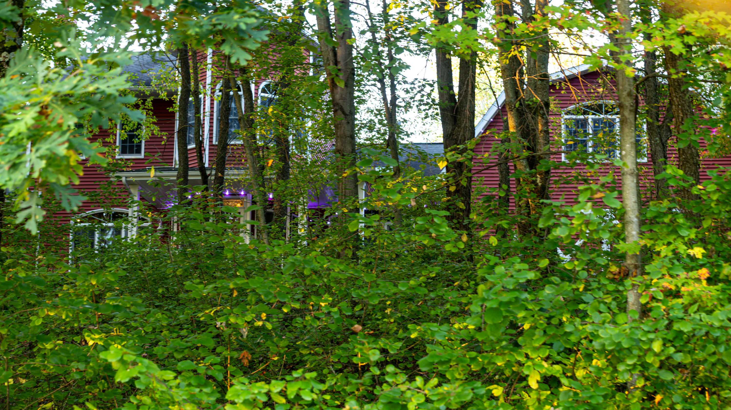 W10753 Hannon Road Black River Falls, WI 54615 - Photo 57 of 84 Exterior Front through trees