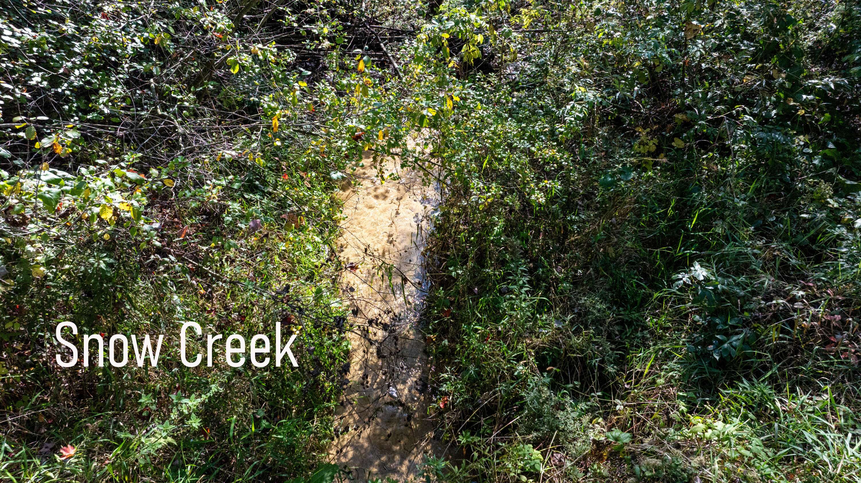 W10753 Hannon Road Black River Falls, WI 54615 - Photo 96 of 103 Lower Aerial Creek