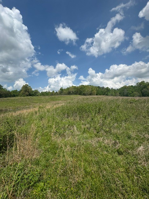 0 Sam Smith Road Allardt, TN 38504 - Photo 12 of 19 a view of an ocean and beach