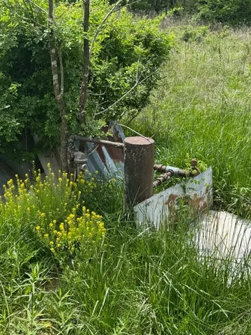 a backyard of a house with lots of green space and plants