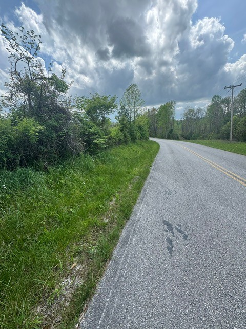 0 Sam Smith Road Allardt, TN 38504 - Photo 19 of 19 a view of a big yard with plants and large trees