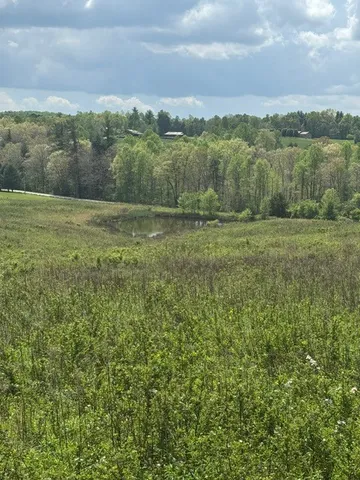 a view of mountain with green field