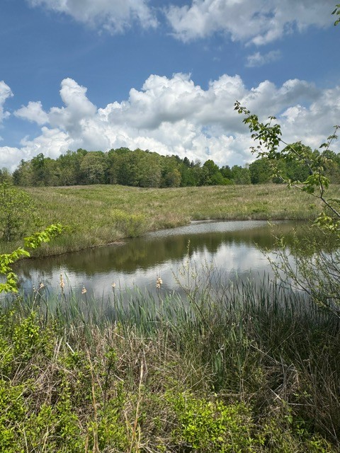 0 Sam Smith Road Allardt, TN 38504 - Photo 4 of 19 a view of lake with green space