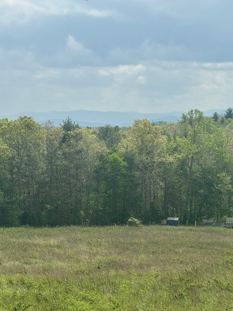 0 Sam Smith Road Allardt, TN 38504 - Photo 5 of 19 a view of a field with trees in background