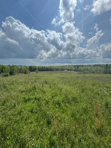 a view of a big yard of grass and an empty space