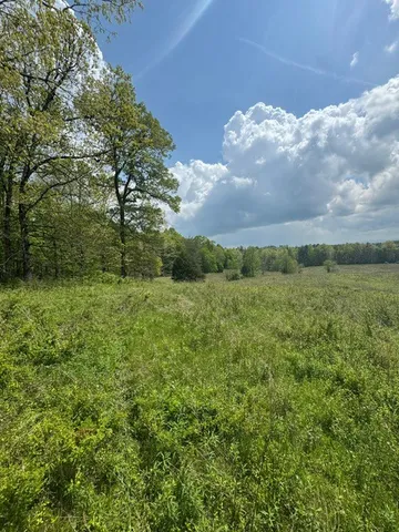a view of a big yard with a house