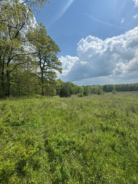 0 Sam Smith Road Allardt, TN 38504 - Photo 7 of 19 a view of a big yard with a house