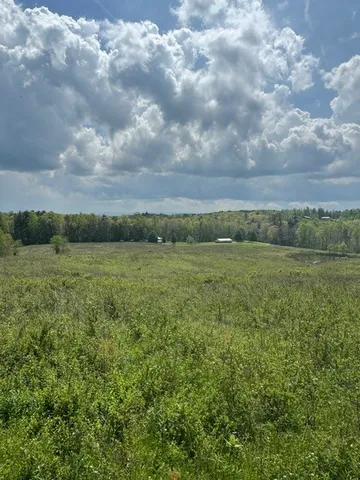 a view of a field with an ocean