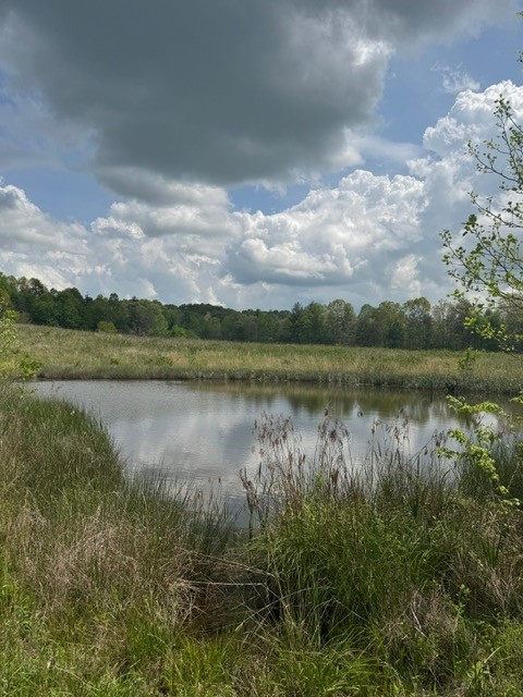 0 Sam Smith Road Allardt, TN 38504 - Photo 10 of 19 a view of a lake with houses in the back