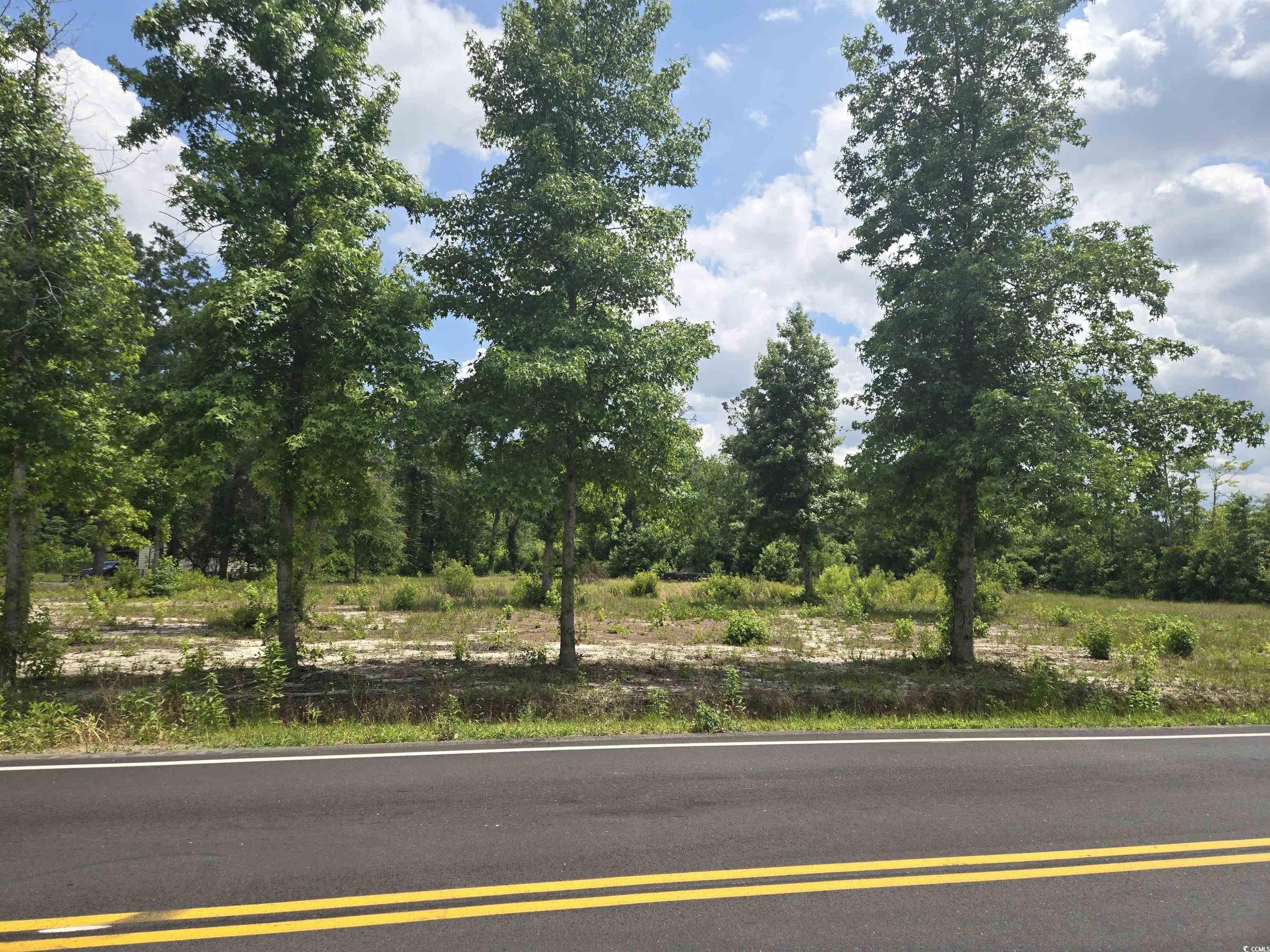 1380 Highway 915 Loris, SC 29569 - Photo 1 of 8 Gallery Image 1