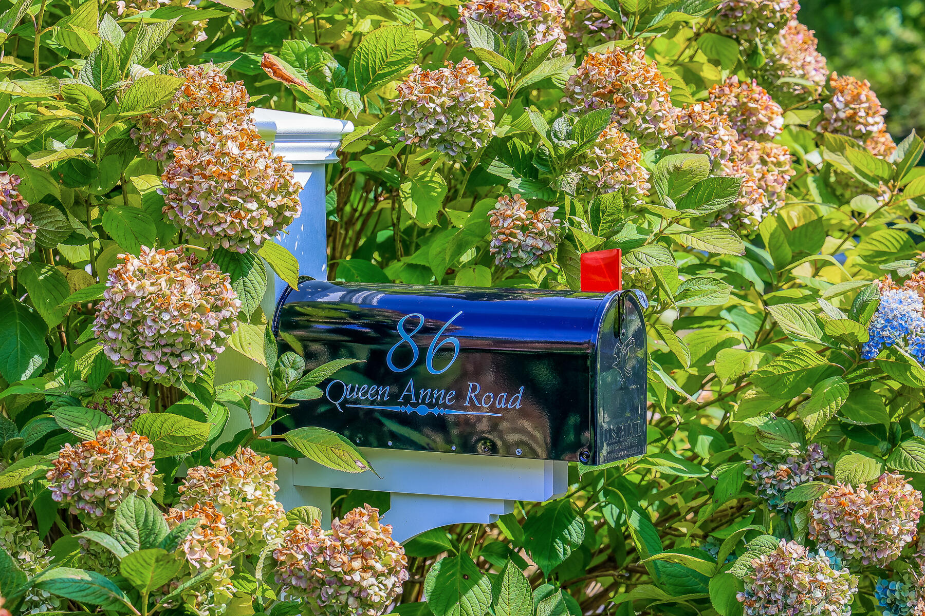 86 Queen Anne Road Chatham, MA 02633 - Photo 2 of 40 86 Queen Anne