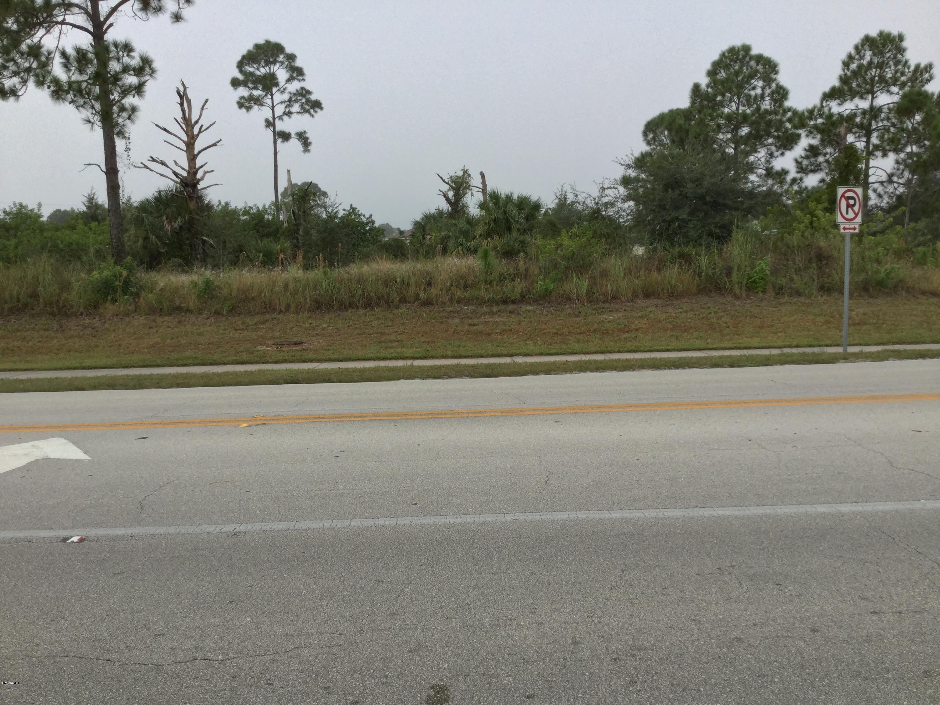 0 Southwest Gamewell Road Palm Bay, FL 32908 - Photo 5 of 6 3