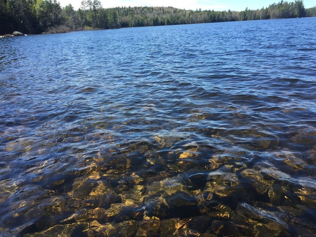 0 Bear Hollow Road Calais, ME 04619 - Photo 3 of 27 Photo
