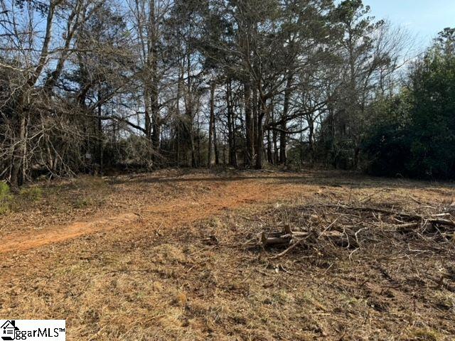 Scuffletown Road Simpsonville, SC 29681 - Photo 13 of 21