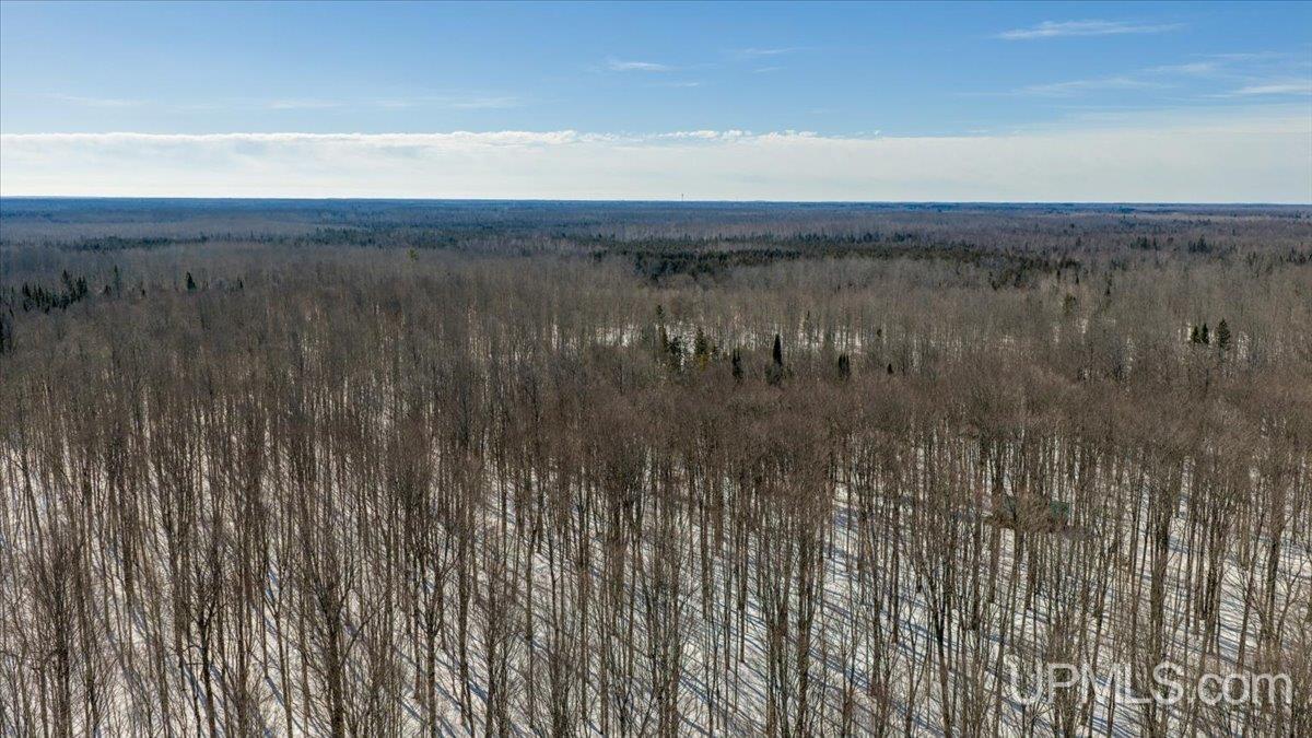 Tbd Off North Road Perkins, MI 49872 - Photo 8 of 48 Gallery Image 8