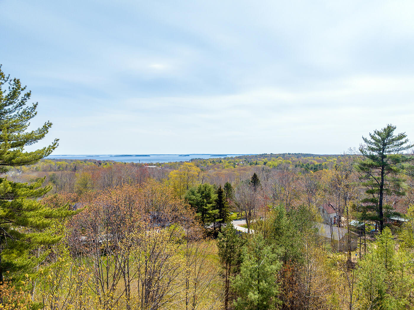 DJI_0954
