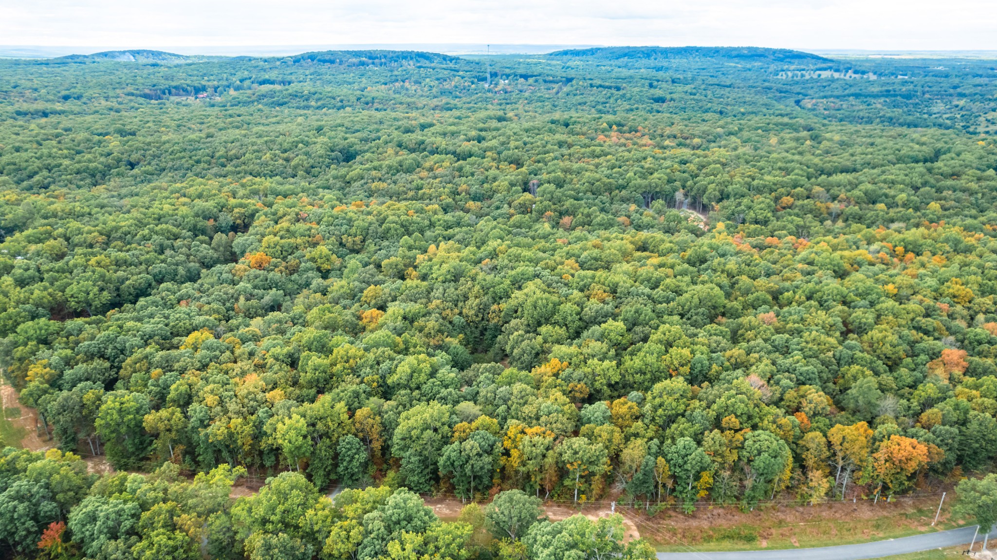 382 Locust Road Dunlap, TN 37327 - Photo 17 of 44 a view of a field with a tree in the background