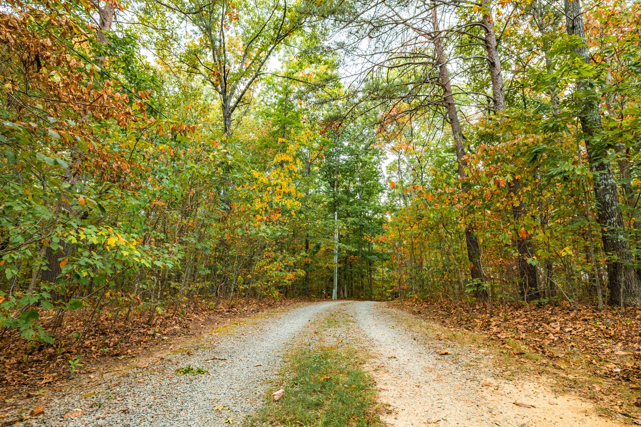 382 Locust Road Dunlap, TN 37327 - Photo 5 of 44 a view of a yard with large trees