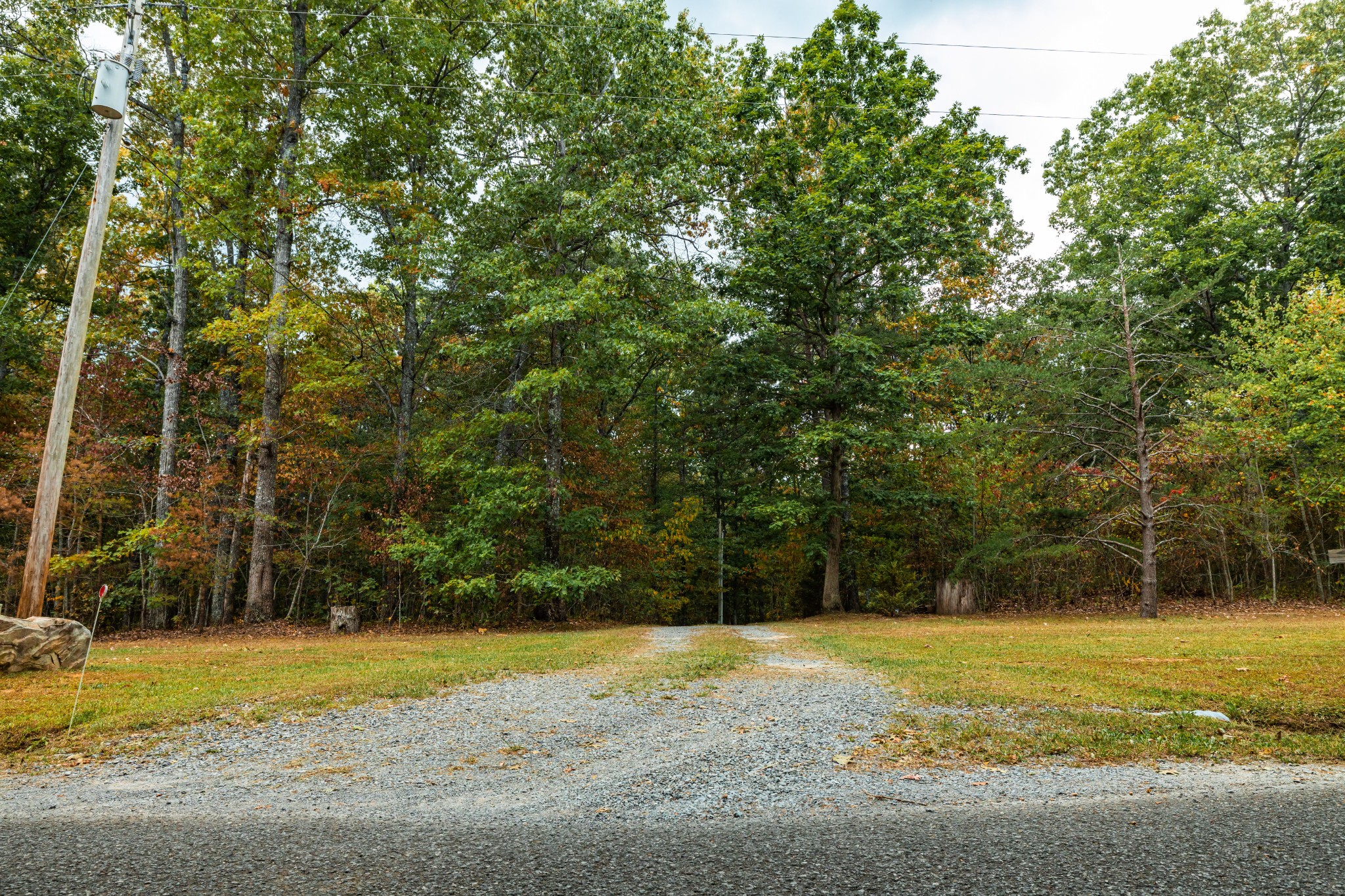 382 Locust Road Dunlap, TN 37327 - Photo 8 of 44 a view of a yard with large trees