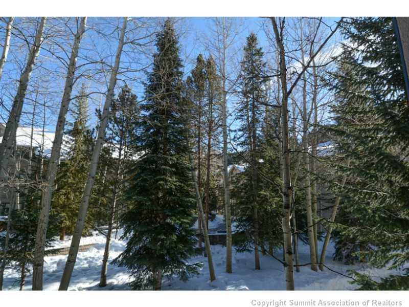 1211 West Keystone Road, Unit 2733 Keystone, CO 80435 - Photo 9 of 14 Gallery Image 9