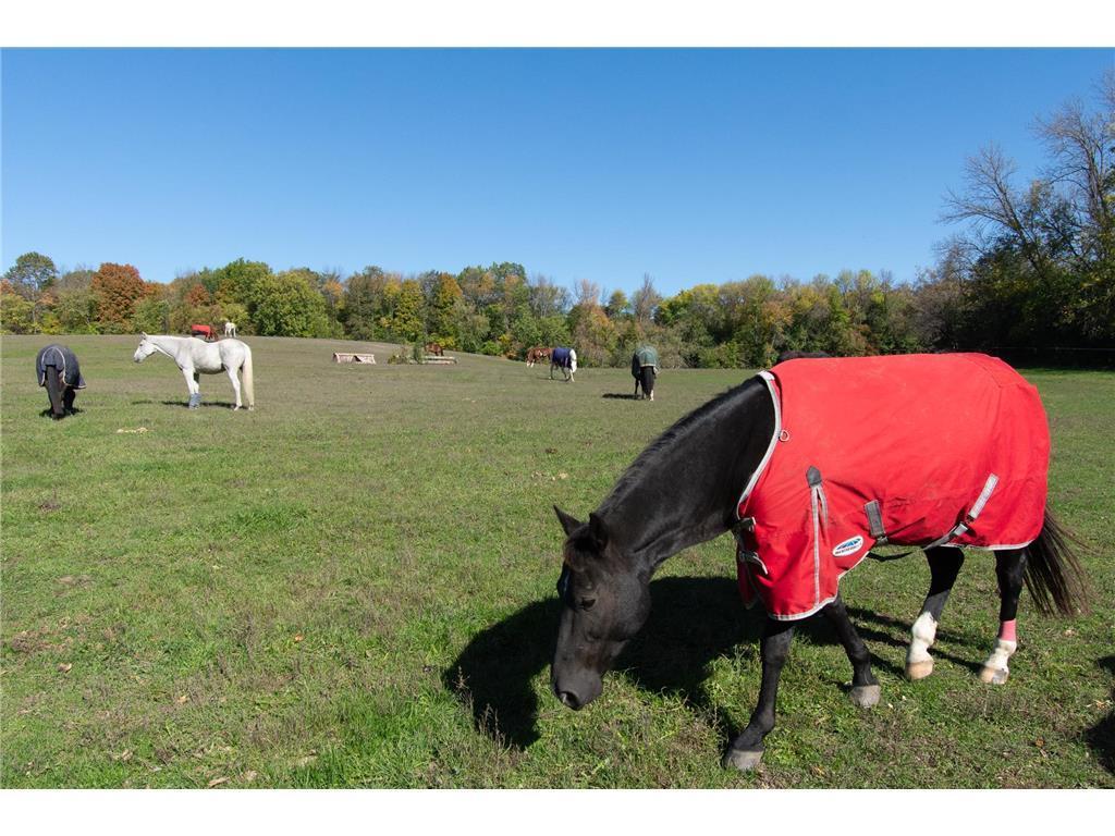 3035 Lake Sarah Road Maple Plain, MN 55359 - Photo 38 of 104