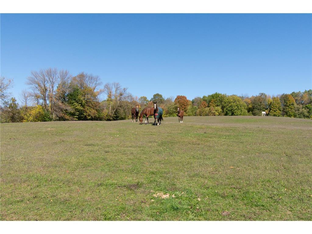 3035 Lake Sarah Road Maple Plain, MN 55359 - Photo 39 of 104