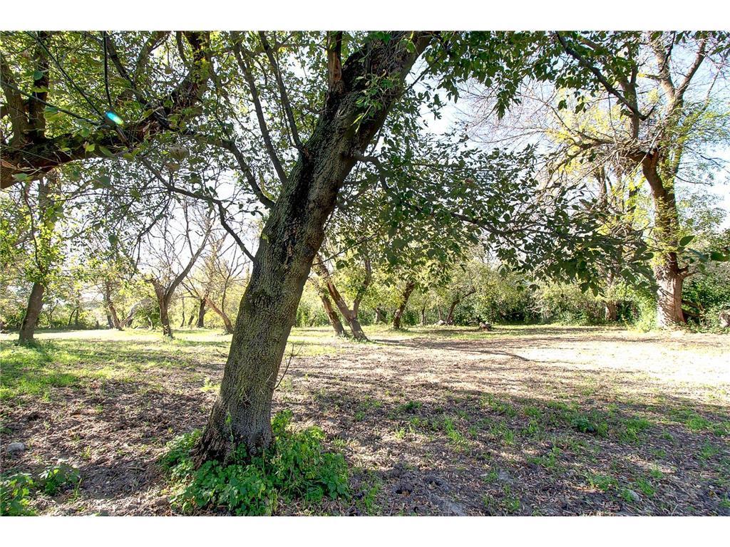 3035 Lake Sarah Road Maple Plain, MN 55359 - Photo 42 of 104