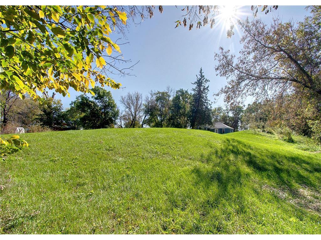 3035 Lake Sarah Road Maple Plain, MN 55359 - Photo 68 of 104