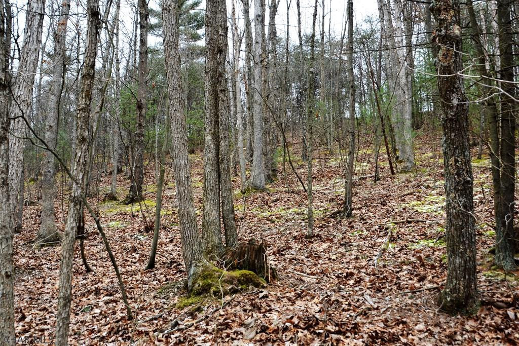 0 Raystown Road Hopewell, PA 16650 - Photo 29 of 51