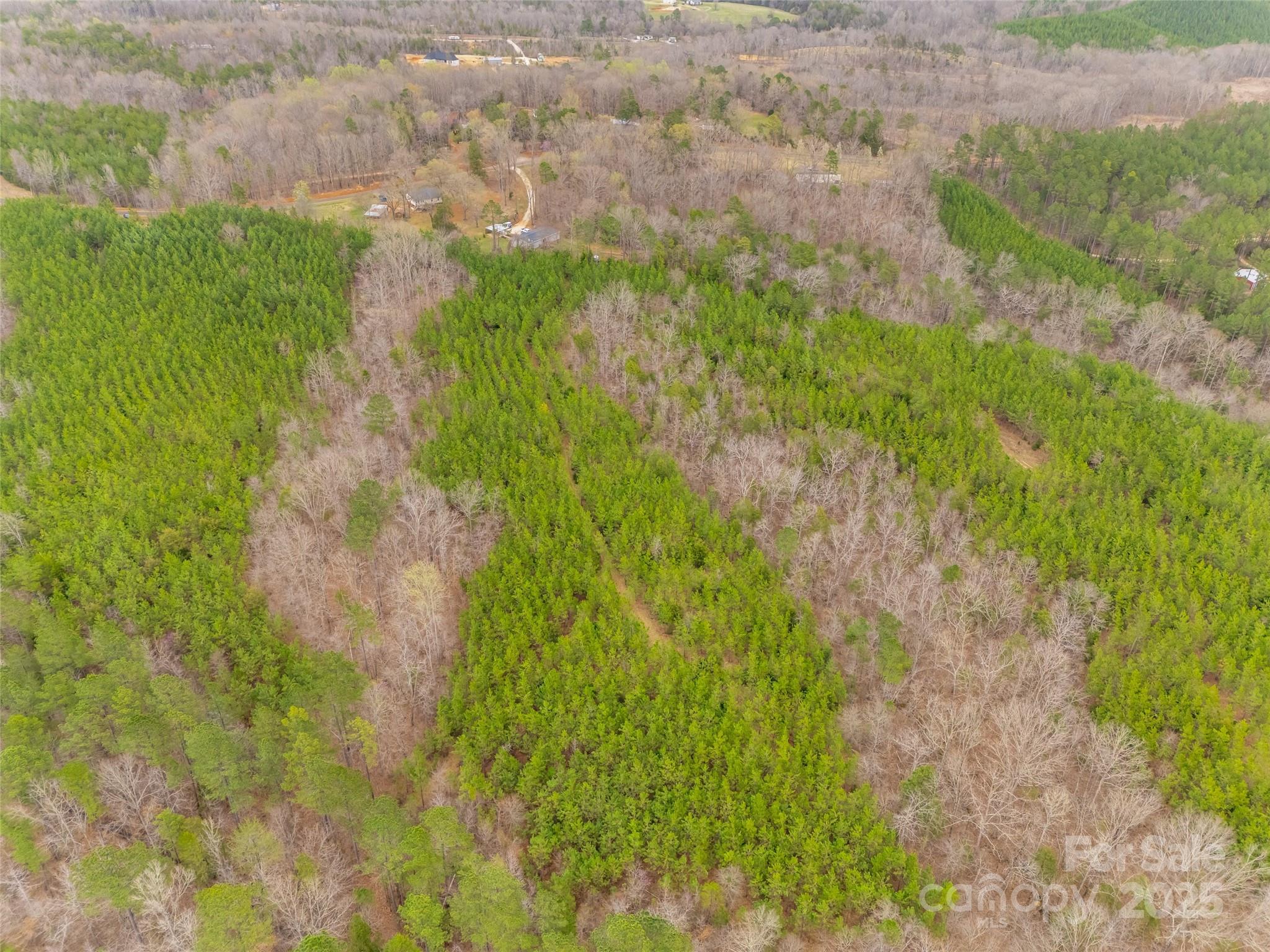 1220 Martin Road Starr, SC 29684 - Photo 6 of 12
