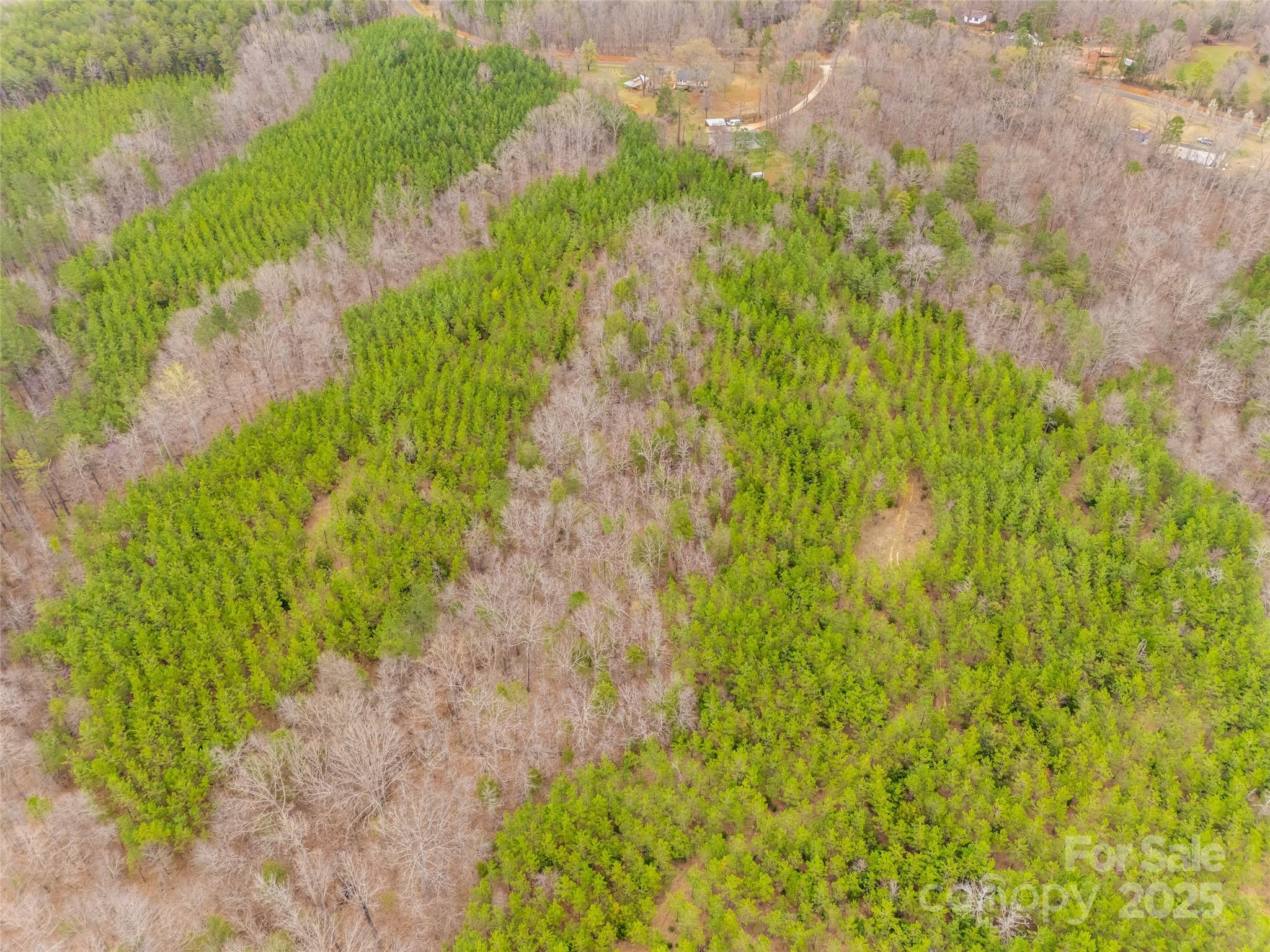 1220 Martin Road Starr, SC 29684 - Photo 7 of 12