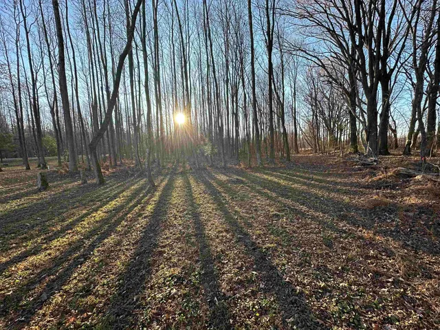 a view of backyard with green space