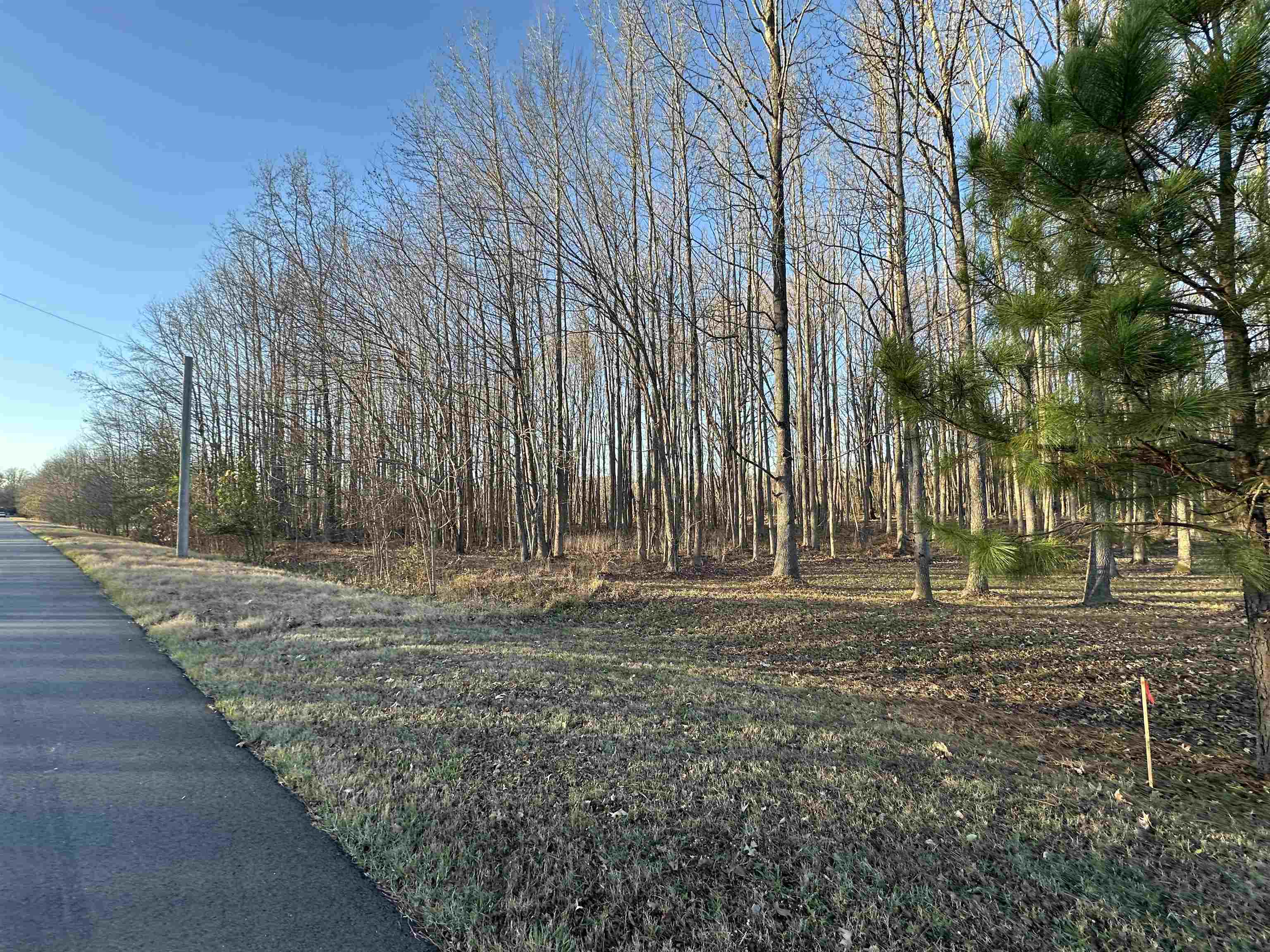 12570 Pinckley Road Arlington, TN 38002 - Photo 2 of 4 a view of a backyard with green space