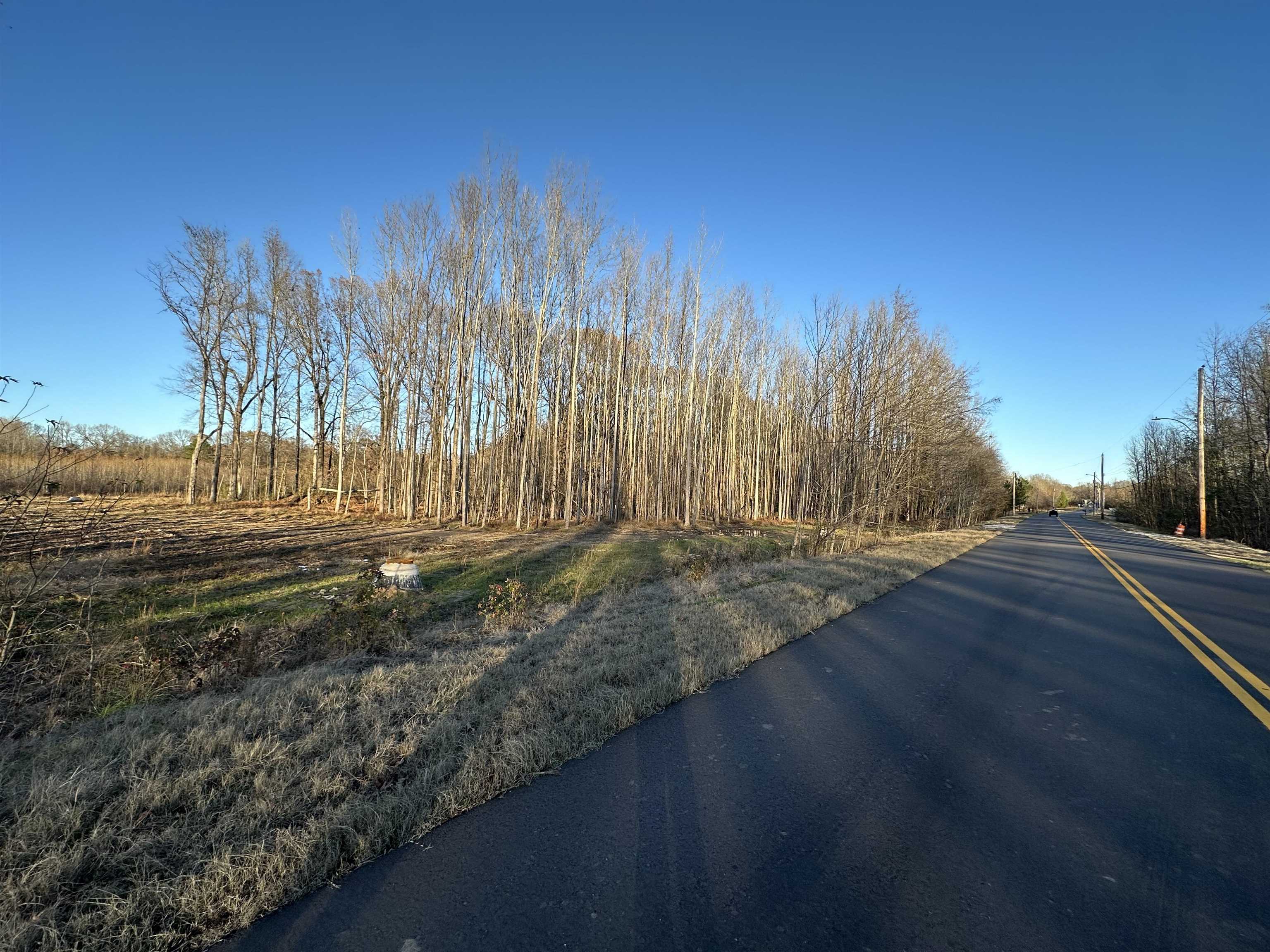 12570 Pinckley Road Arlington, TN 38002 - Photo 3 of 4 a view of a yard with wooden fence