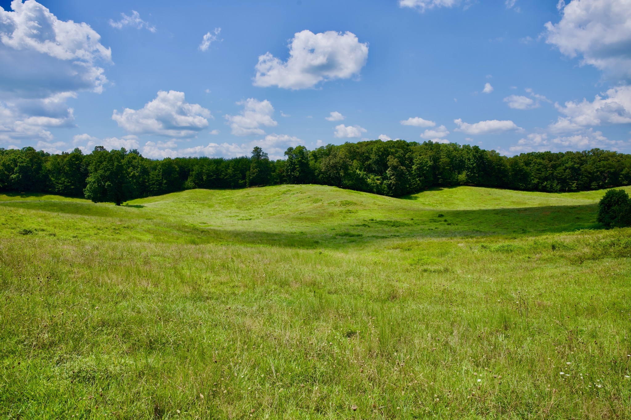 6 Barlow Road Rock Island, TN 38581 - Photo 12 of 23 a yard with lots of green space