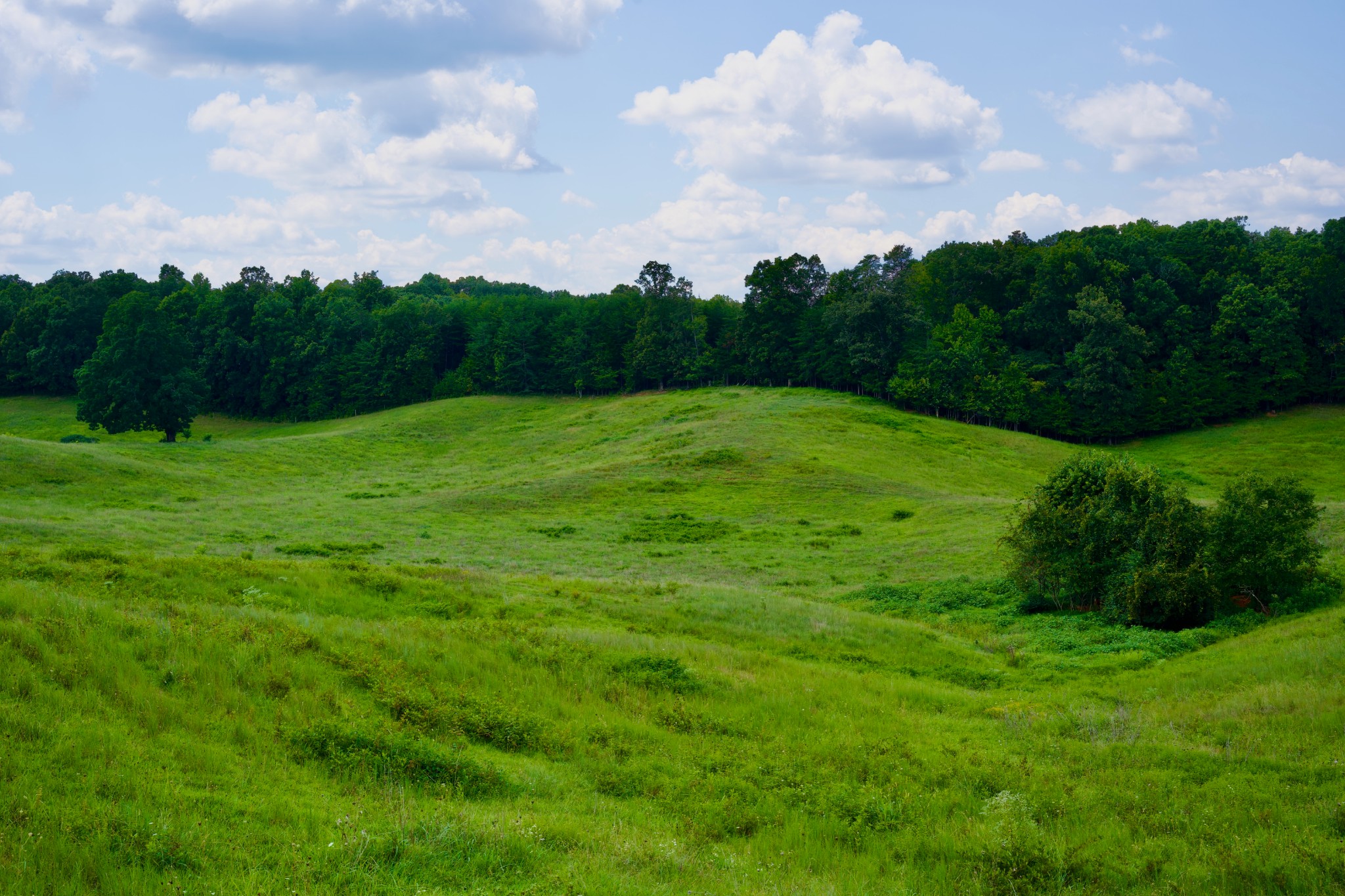 6 Barlow Road Rock Island, TN 38581 - Photo 13 of 23 a view of an outdoor space and a yard